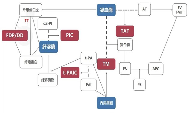 圖片1.jpg